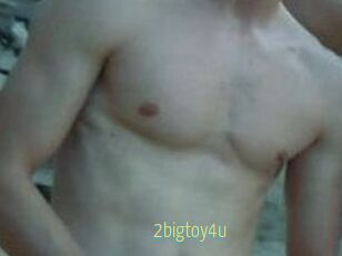 2bigtoy4u