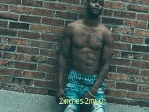 2inches_2much