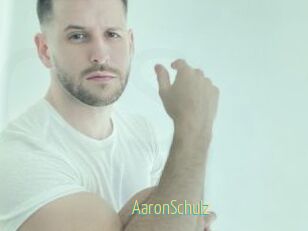 AaronSchulz