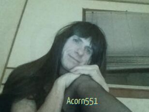 Acorn551