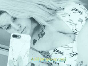 Adalinerae_exposed