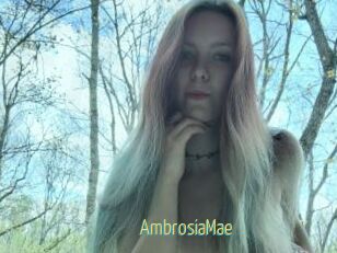 AmbrosiaMae