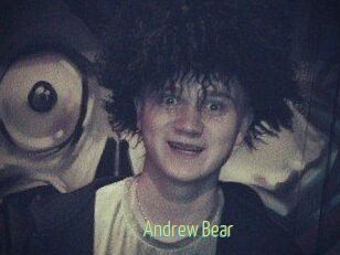 Andrew_Bear