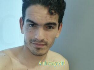 Andrewgosht