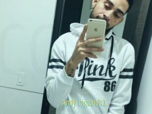 Andy_bigcock1