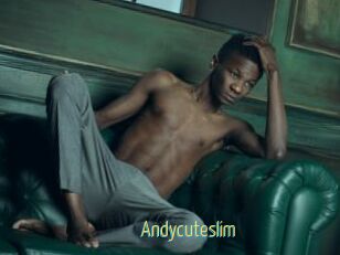 Andycuteslim