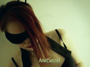 AnetSecret