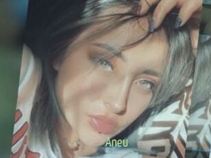 Aneu