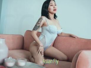 Asian_Fly