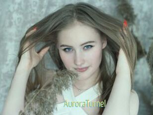 AuroraTurnel