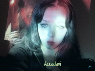 Accadavi