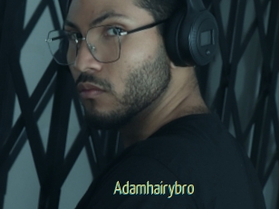Adamhairybro