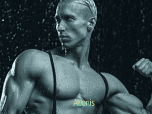 Adonis