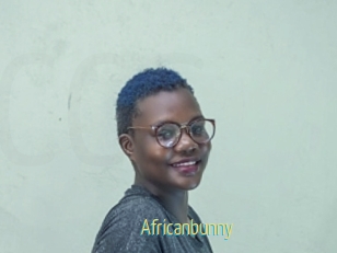 Africanbunny