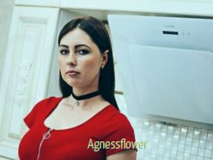 Agnessflower