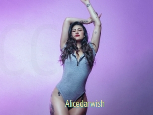 Alicedarwish