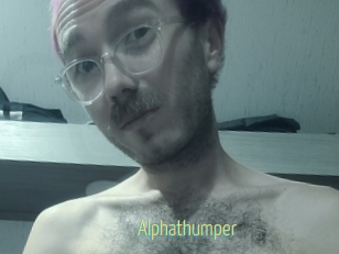 alphathumper Chaturbate Cam Sexe