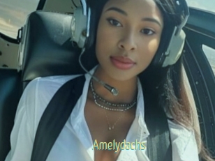 Amelydachs