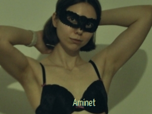 Aminet