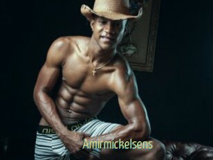 Amirmickelsens