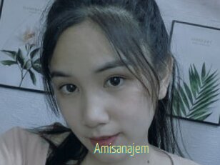 Amisanajem