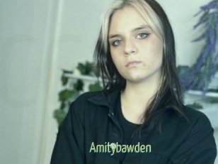Amitybawden