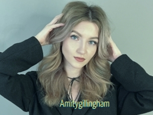 Amitygillingham