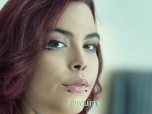 Amyquinne