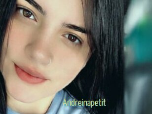 Andreinapetit