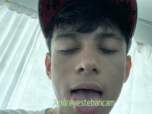 Andreyestebancam