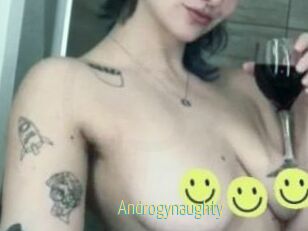Androgynaughty
