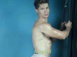 Andygates