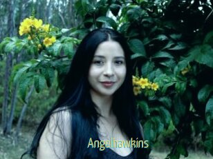 Angelhawkins