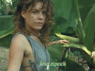 Aniccaspinelli