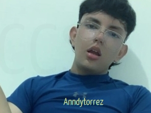 Anndytorrez