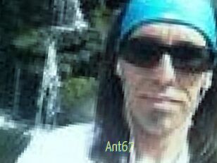 Ant67