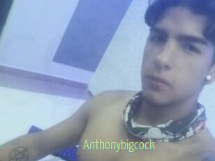 Anthonybigcock