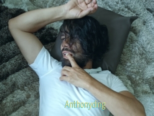 Anthonyding