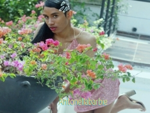 Antonellabarbie