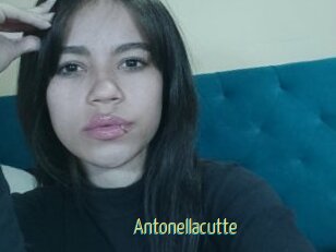 Antonellacutte