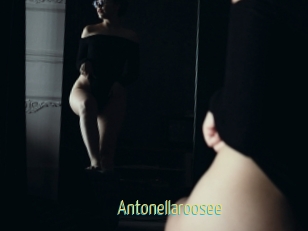 Antonellaroosee