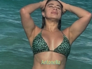 Antonellla