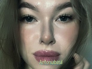 Antoniabasil