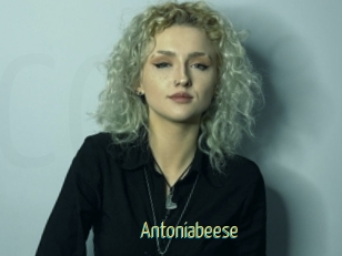 Antoniabeese