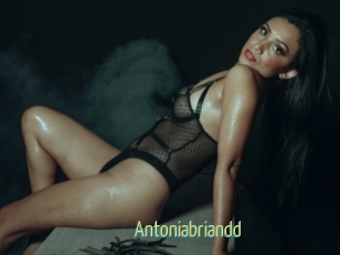 antoniabriandd Chaturbate Cam Sexe
