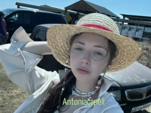 Antoniacapell
