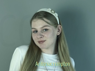 antoniacrumpton Chaturbate Cam Sexe