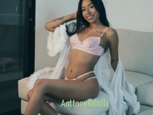 Anttonellabella