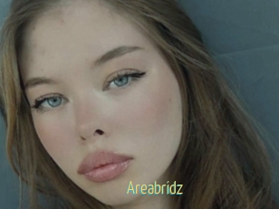 Areabridz