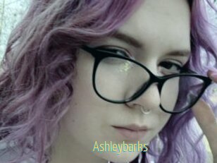 Ashleybarks